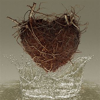 Los Planetas - Las canciones del agua