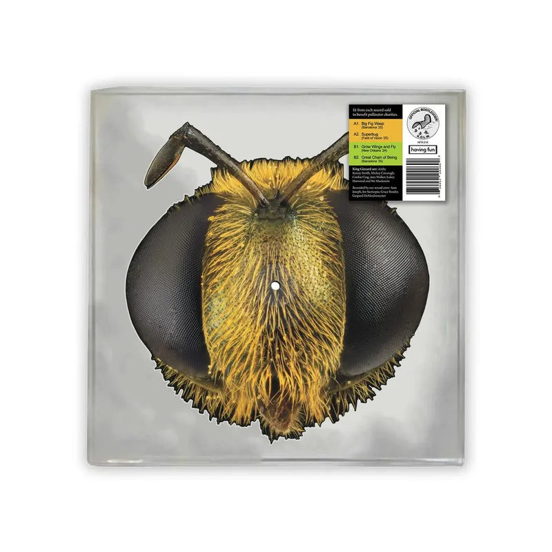 RSD2026 - King Gizzard And The Lizard Wizard - Big Fig Was (Picture Disc, Bug Shaped Vinyl)