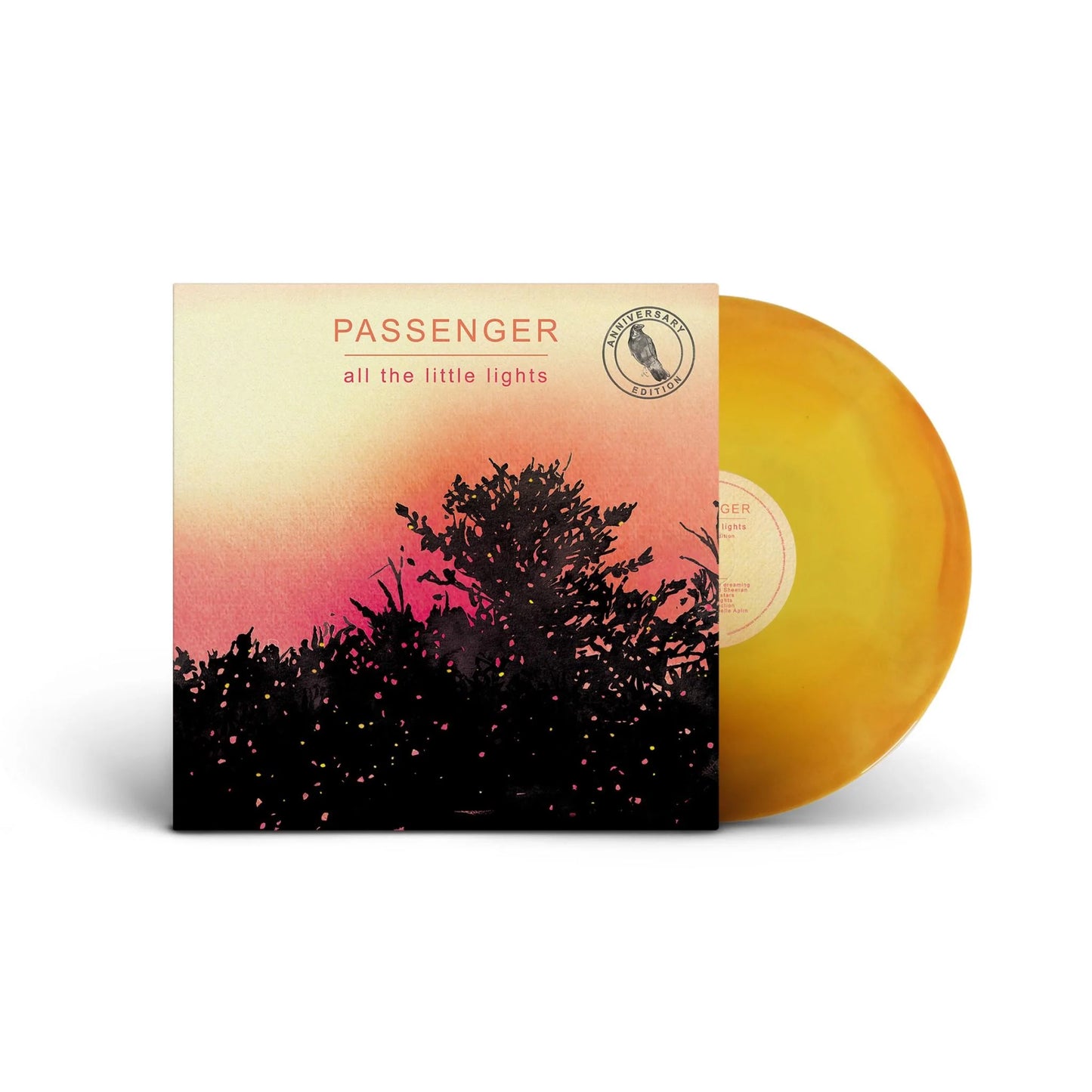 Passenger - All The Little Lights (anniversary Edition)