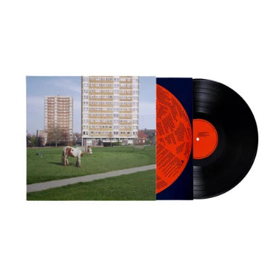 Westside Cowboy - It Goes On (LP)