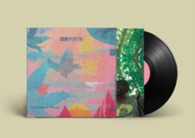 Raw Poetic & Damu The Fudgemunk - Laminated Skies