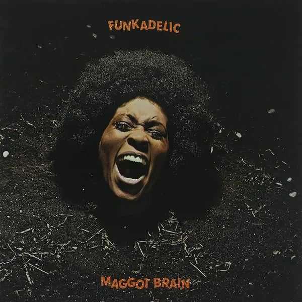 Funkadelic - Maggot Brain