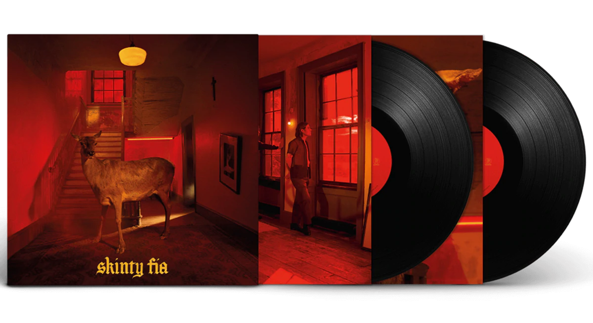 Fontaines DC - Skinty Fia