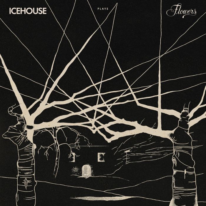 Icehouse - Icehouse Plays Flowers: Live