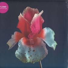 Flume - Tiny Cities
