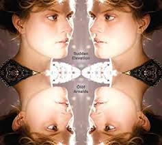 Olof Arnalds - Sudden Elevation