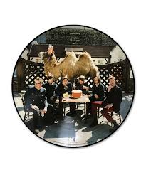 WILCO - wilco the album picture disc