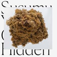 Susumu Yokota - Cloud Hidden