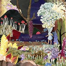 Psychedelic Porn Crumpets - And Now For Whatchamacallit