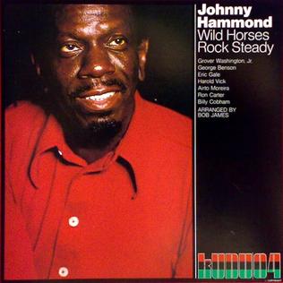 Johnny Hammond - Wild Horses Rock Steady