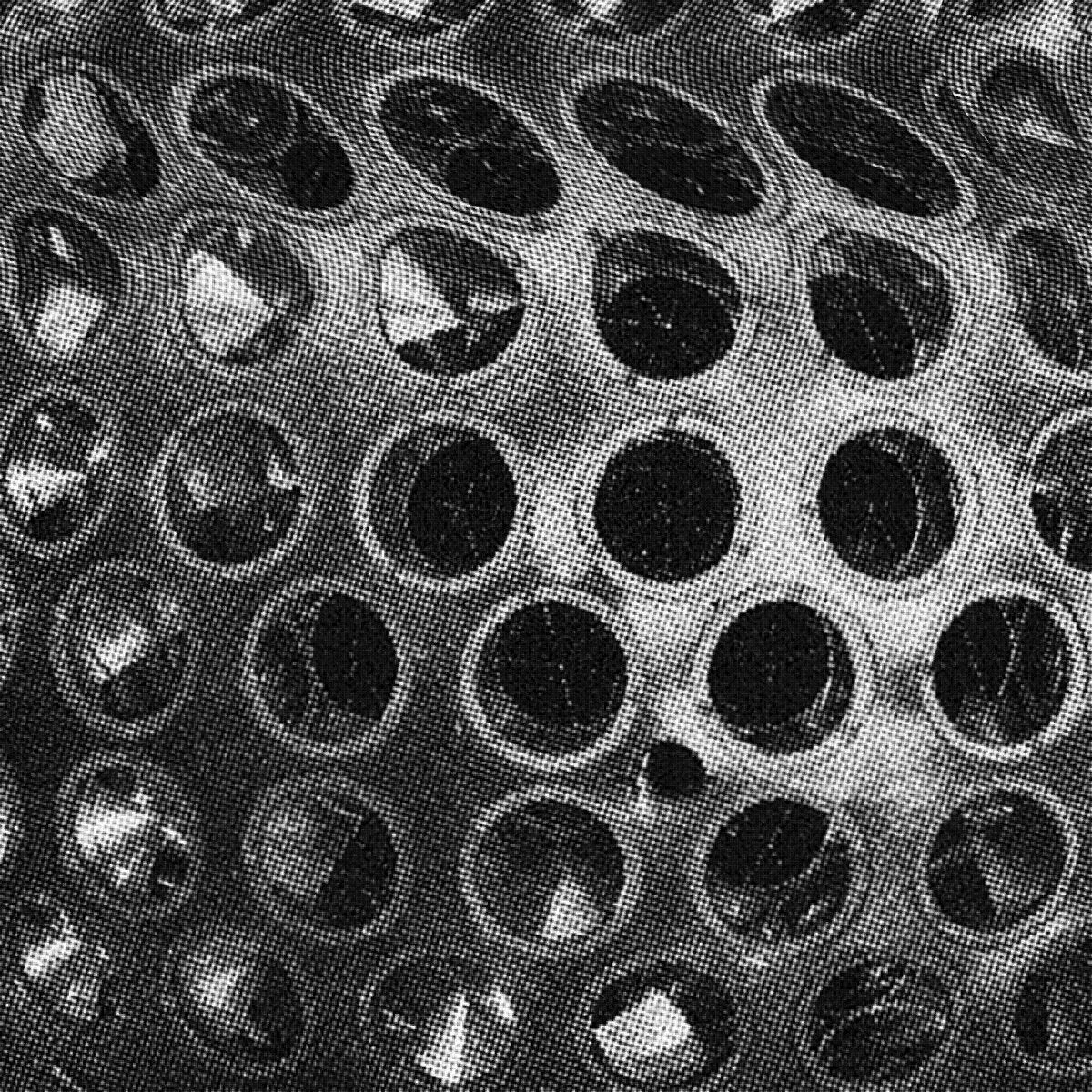 Actress X London Contemporary Orchestra - Lageos