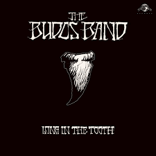 The Budos Band - Long In the Tooth