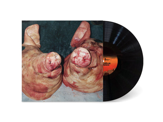 Armand Hammer & The Alchemist – Haram (Vinyl, LP, Album)