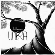 Joel Fairstein - Umbra
