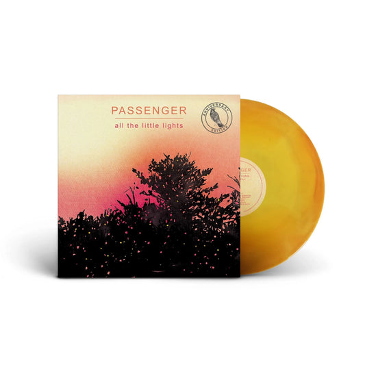 Passenger - All The Little Lights (anniversary Edition)