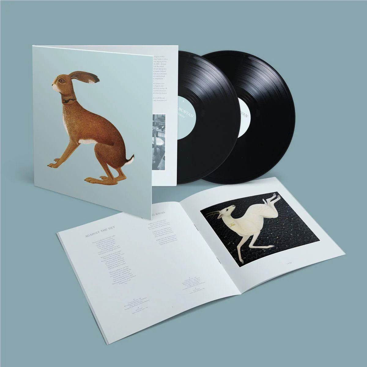 Vashti Bunyan - Lookaftering (Limited Edition Expanded Double Album 20th Anniversary)