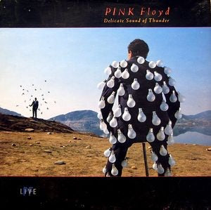 Pink Floyd - Delicate Sound of Thunder