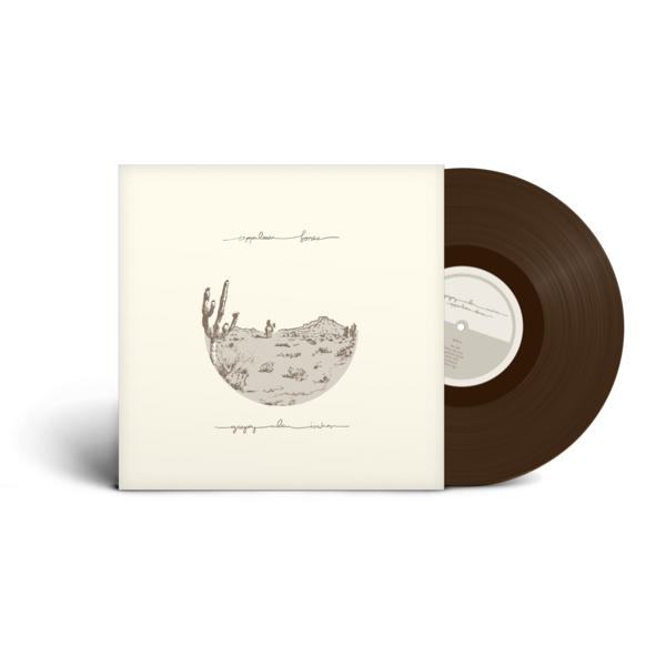 Gregory Alan Isakov - Appaloosa Bones