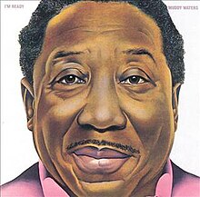 Muddy Waters - Folk Singer