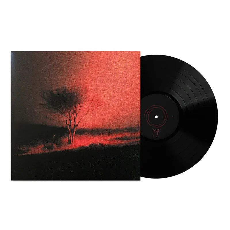 Joji - Piss In The Wind (Standard Black Vinyl)