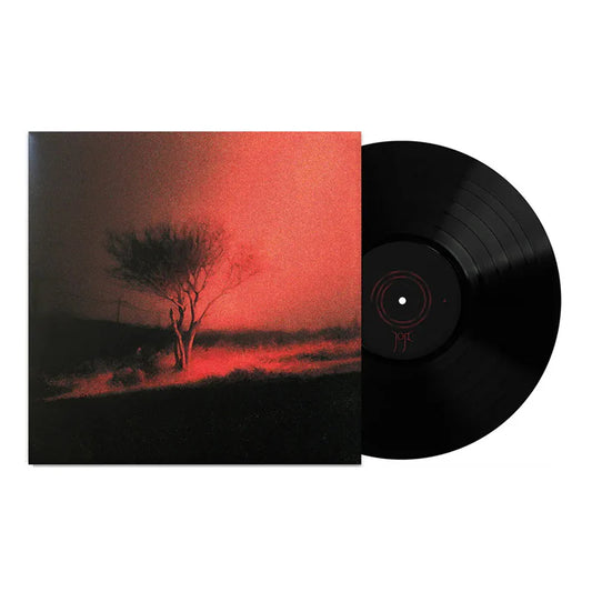 Joji - Piss In The Wind (Standard Black Vinyl)