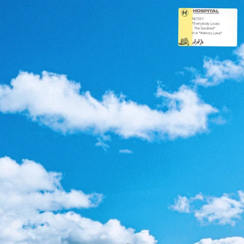 Netsky - Everybody Loves The Sunshine 12" Single