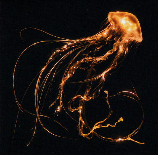 Royal Blood – Back To The Water Below