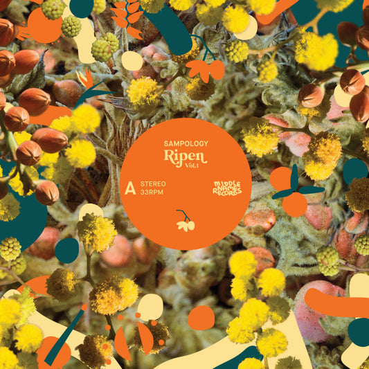 Sampology - Morning Sun (12" Single)