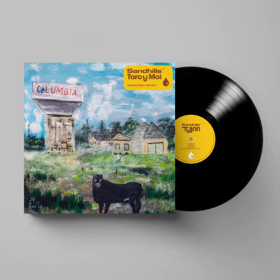 Toro Y Moi - Sandhills