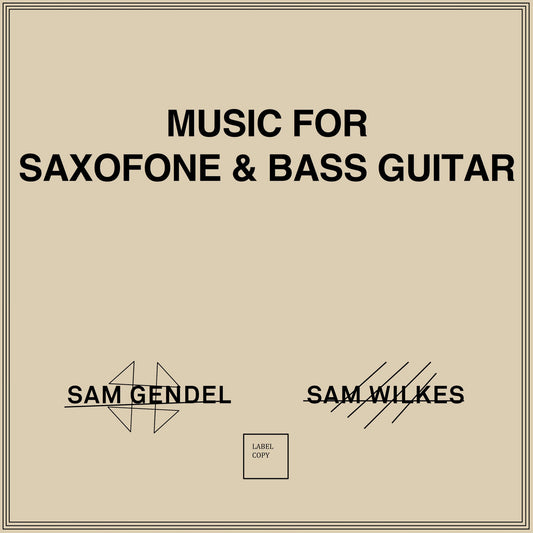 Sam Gendel & Sam Wilkes - Music For Saxophone & Bass Guitar (LP)