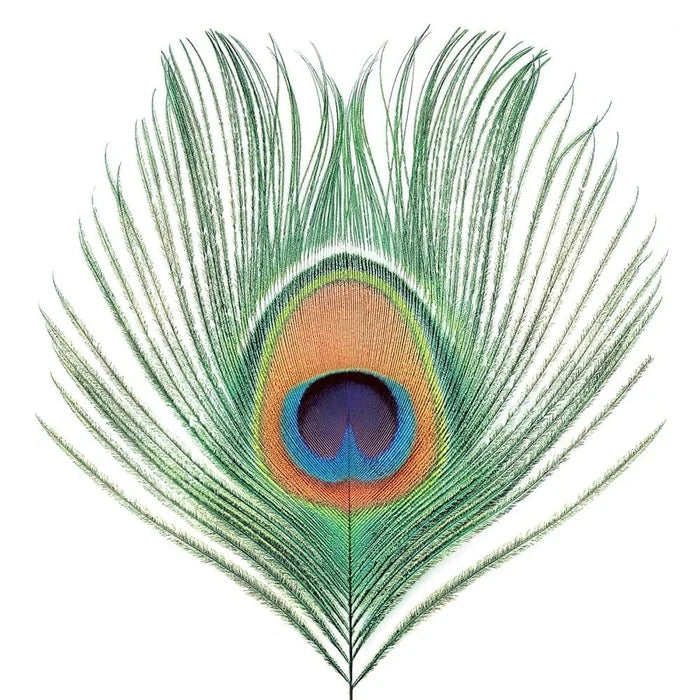 XTC - Apple Venus Volume 1