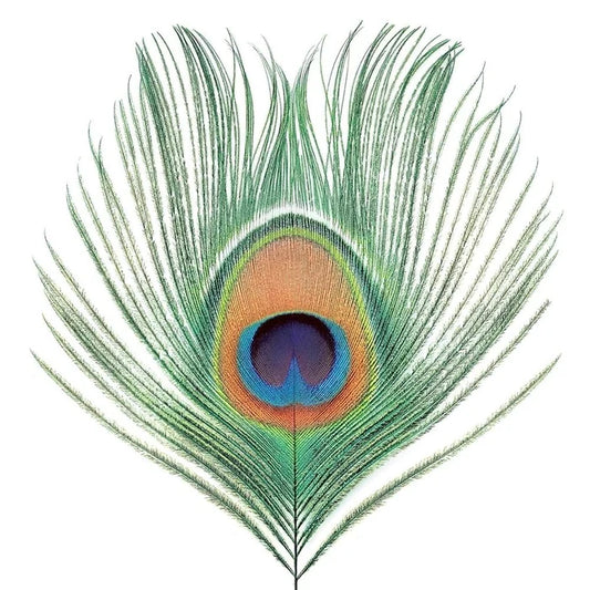 XTC - Apple Venus Volume 1