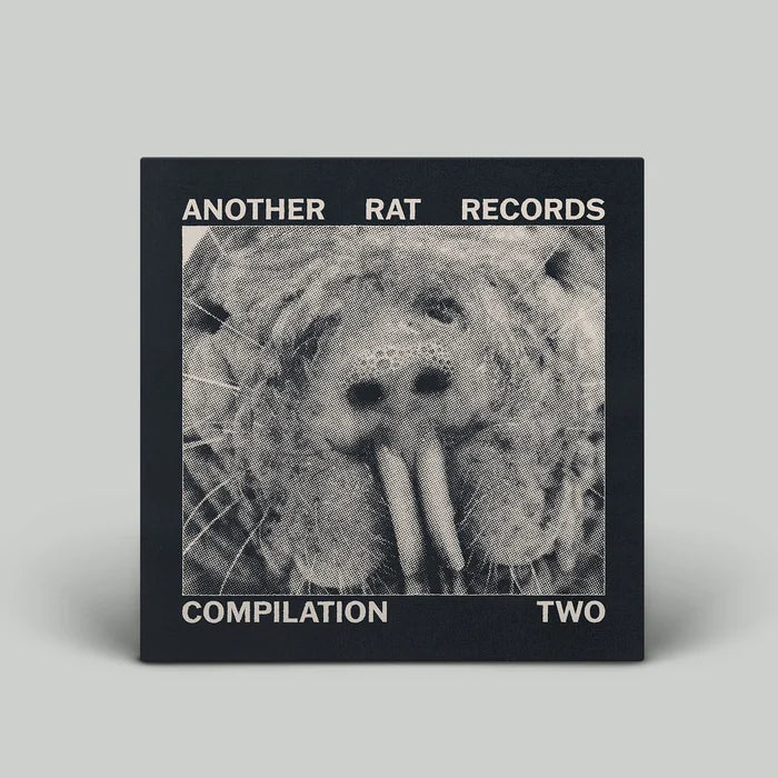 V/A - Another Rat Records Compilation 2