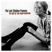 The Last Shadow Puppets - Age of the Understatement