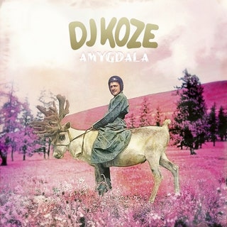 DJ Koze - Amygdala ( ANNIVERSARY EDITION)