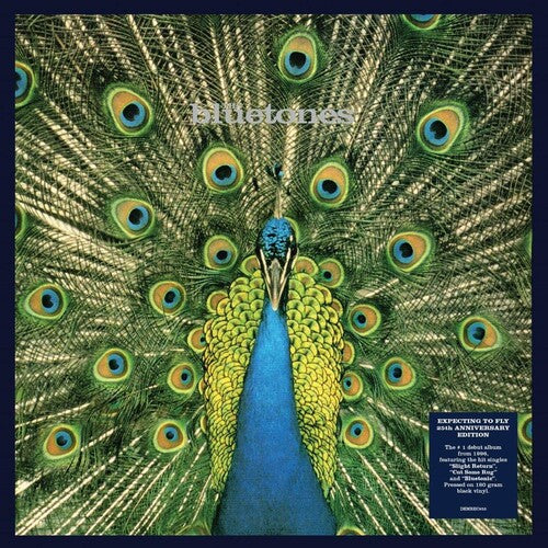 The Bluetones - Expecting to Fly (25th Anniversary Edition)