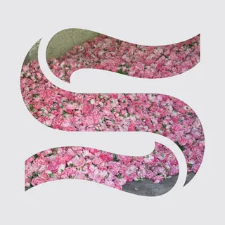 Braxe + Falcon - Step By Step EP