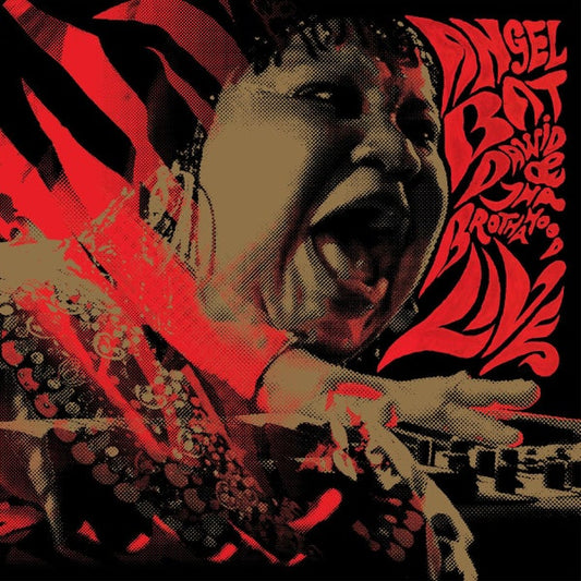 Angel Bat Dawid & Tha Brothahood ‎– Live