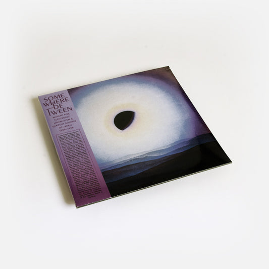 VA - Somewhere Between : Mutant Pop, Electronic Minimalism & Shadow Sounds from Japan