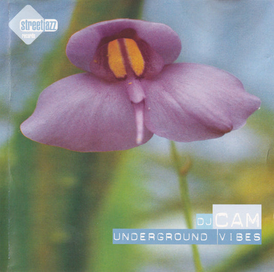 DJ Cam - Underground Vibes