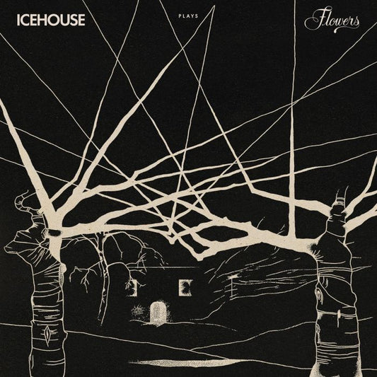 Icehouse - Icehouse Plays Flowers: Live