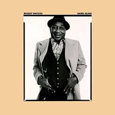 Muddy Waters - Folk Singer