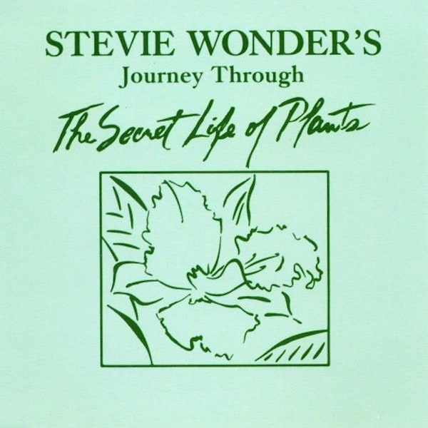 Stevie Wonder - Journey Through The Secret Life Of Plants