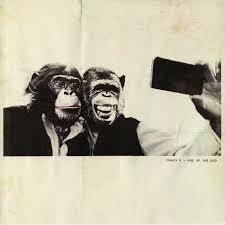 Crazy P - Age of the Ego